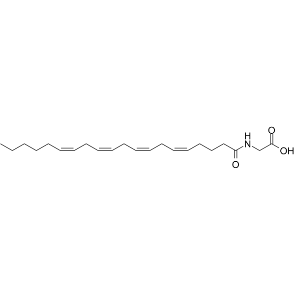 N-Arachidonylglycine (NA-Gly) 179113-91-8